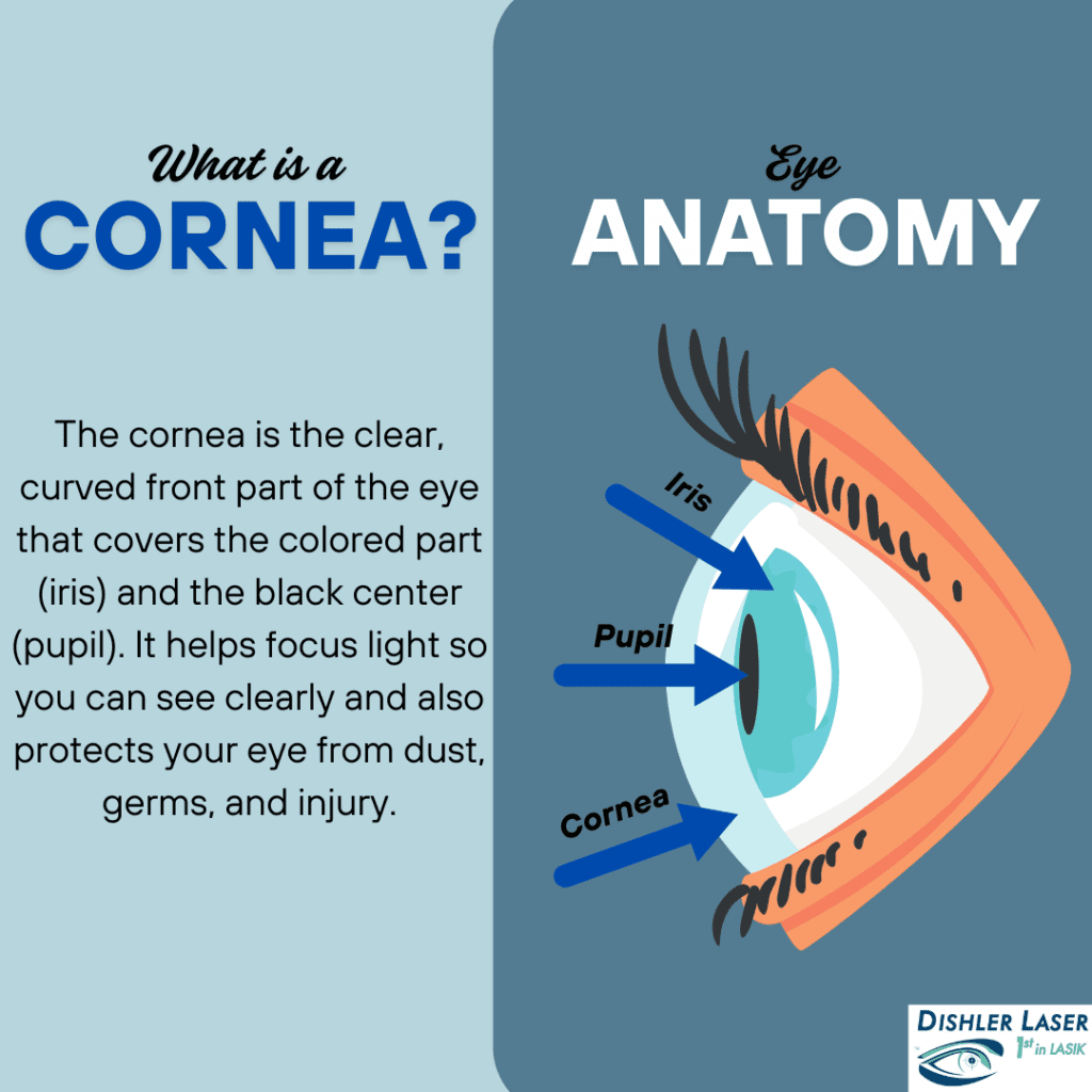 Corneal Thickness and anatomy of cornea
